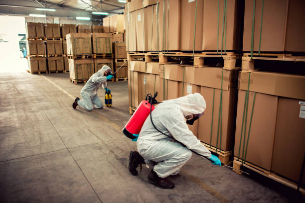 Best Pest Removal Services  in Blackwater, AZ