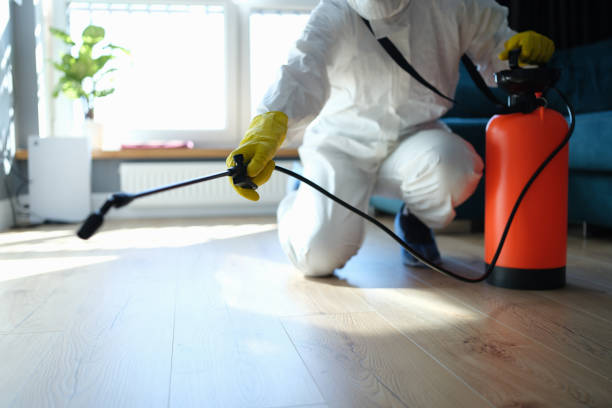 Pest Prevention Services in Blackwater, AZ