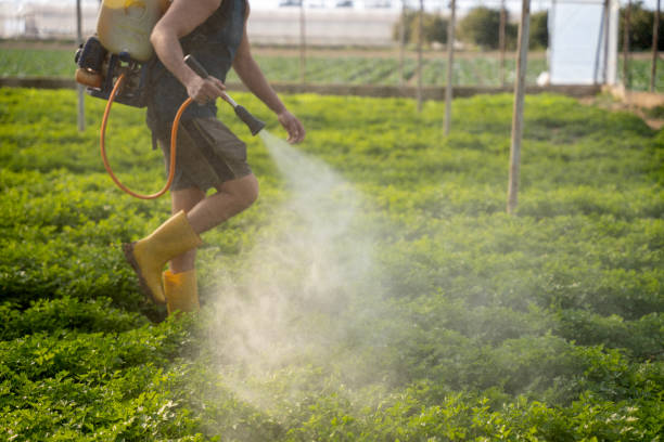 Best Wildlife Control Services  in Blackwater, AZ