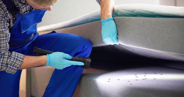Pest Control for Restaurants in Blackwater, AZ
